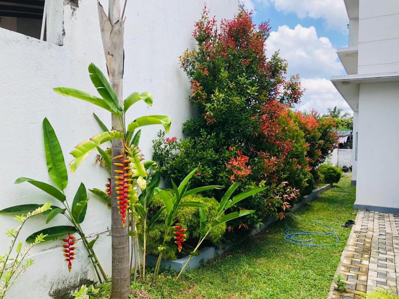 Vidushi Home Minuwangoda Dış mekan fotoğraf