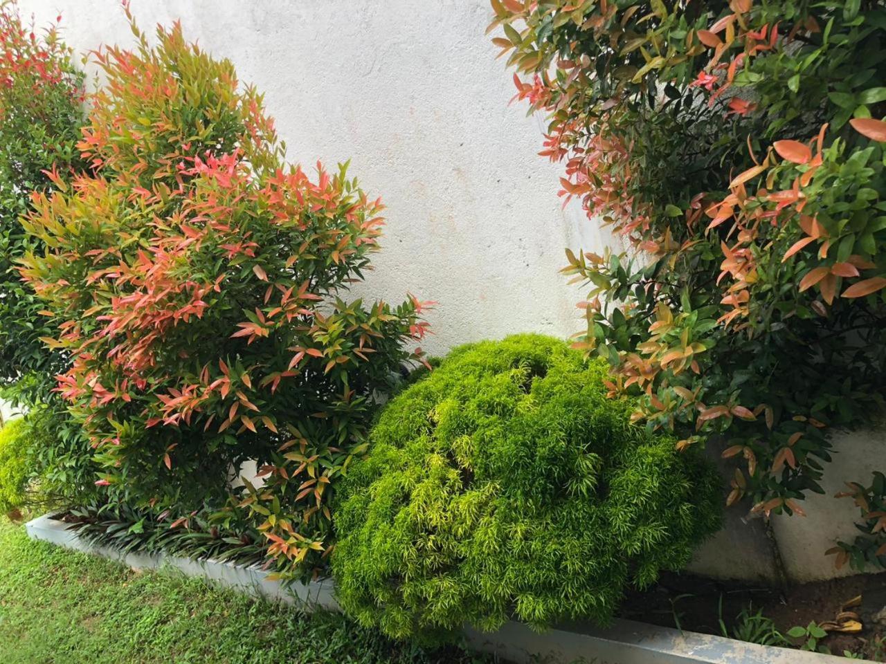 Vidushi Home Minuwangoda Dış mekan fotoğraf