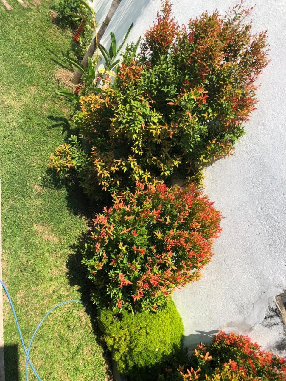 Vidushi Home Minuwangoda Dış mekan fotoğraf